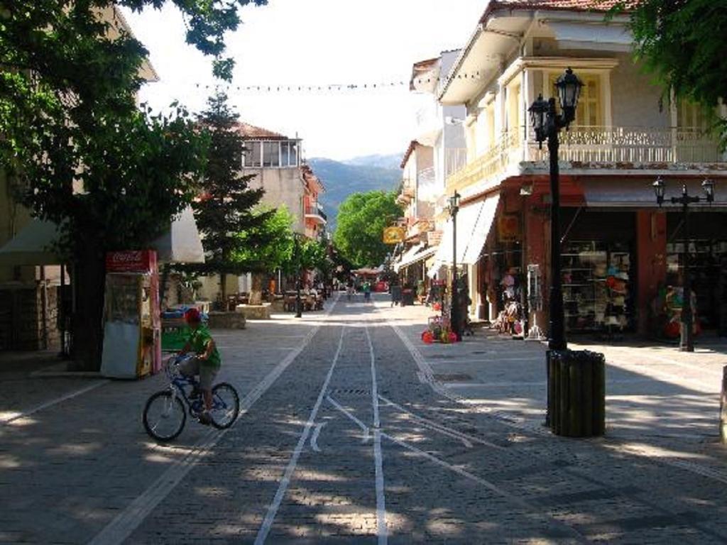 Xylino Chalet Kalavryta Exterior foto