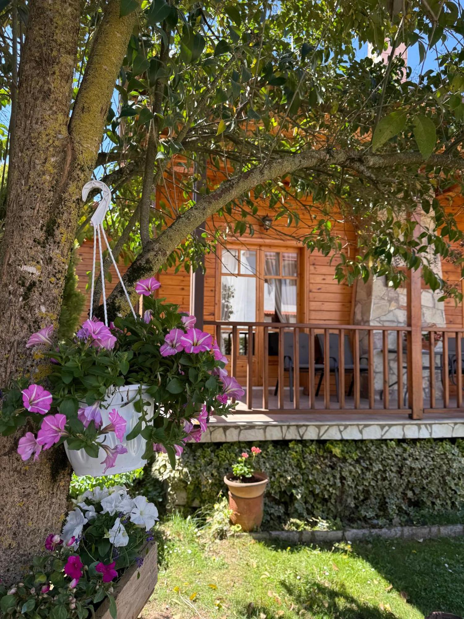 Xylino Chalet Kalavryta Exterior foto